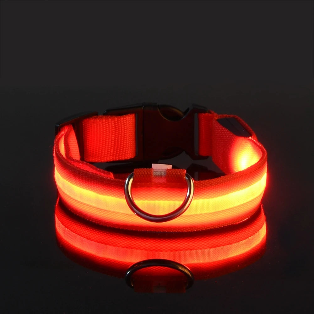 FurNorth™ LED Safety Dog Collar