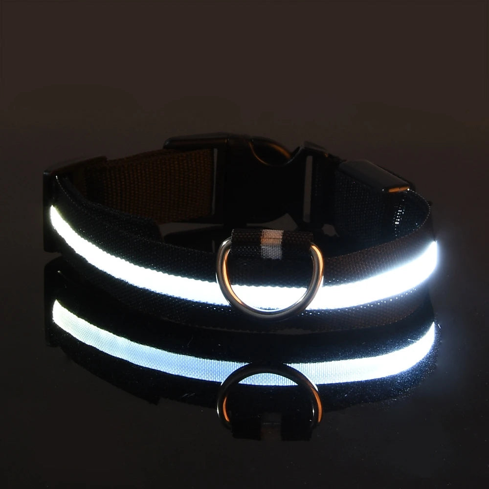 FurNorth™ LED Safety Dog Collar