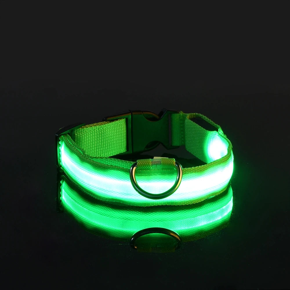FurNorth™ LED Safety Dog Collar