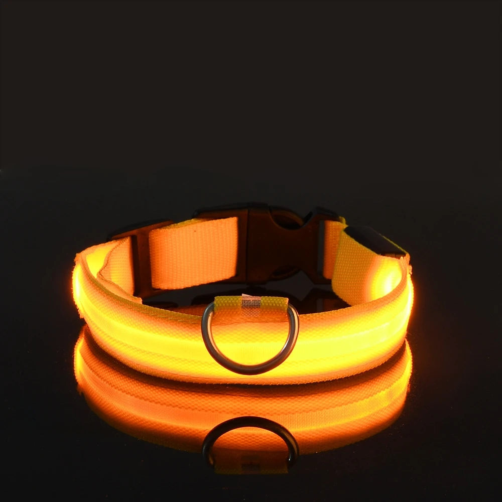 FurNorth™ LED Safety Dog Collar