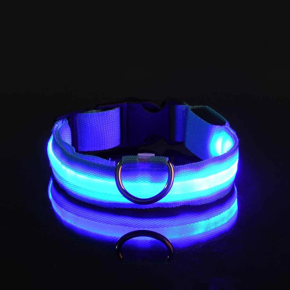 FurNorth™ LED Safety Dog Collar