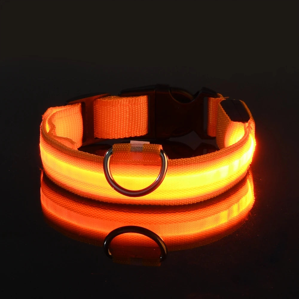 FurNorth™ LED Safety Dog Collar