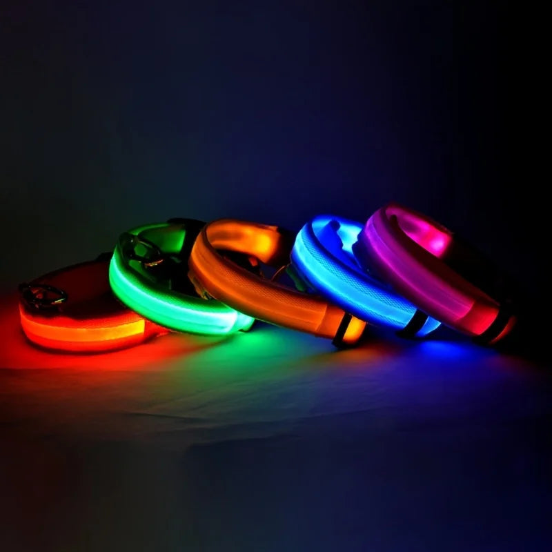 FurNorth™ LED Safety Dog Collar