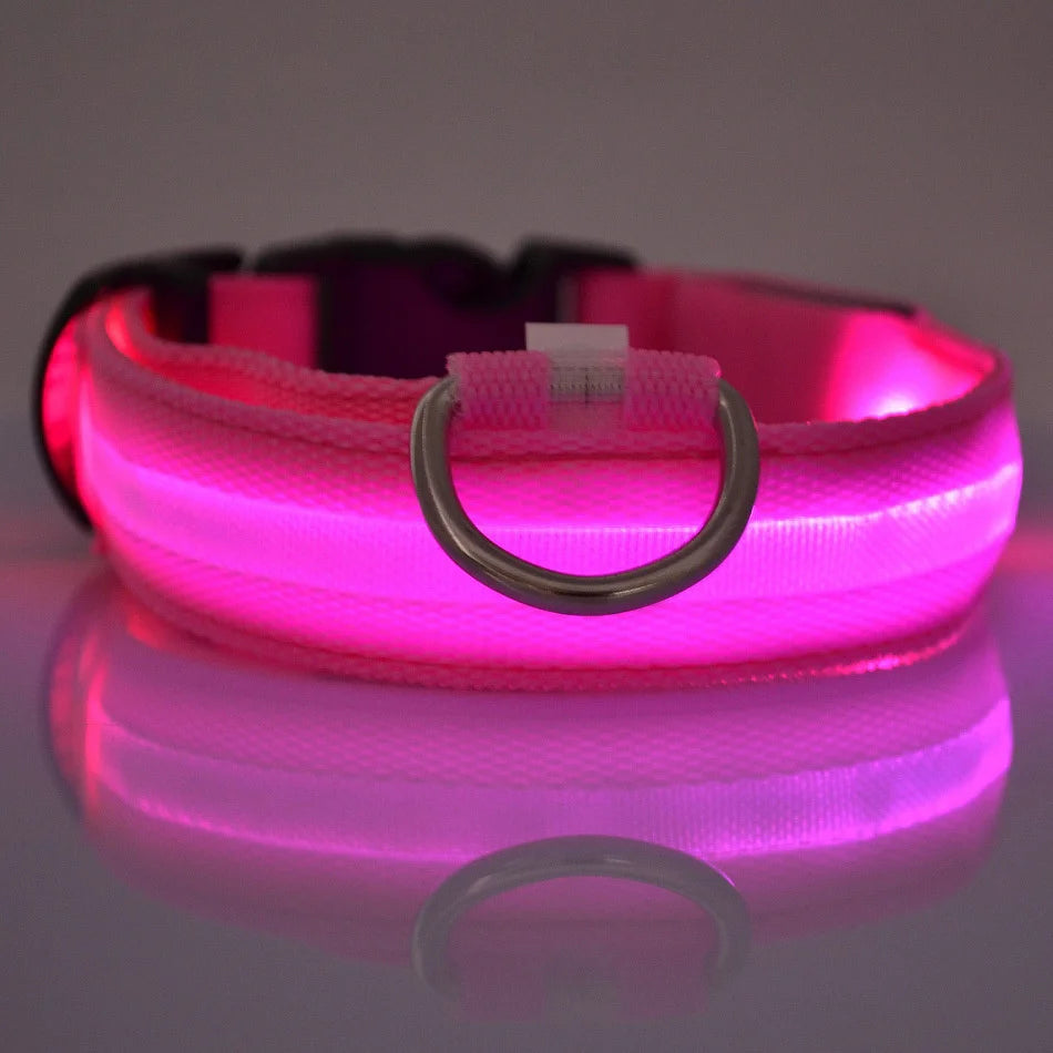 FurNorth™ LED Safety Dog Collar