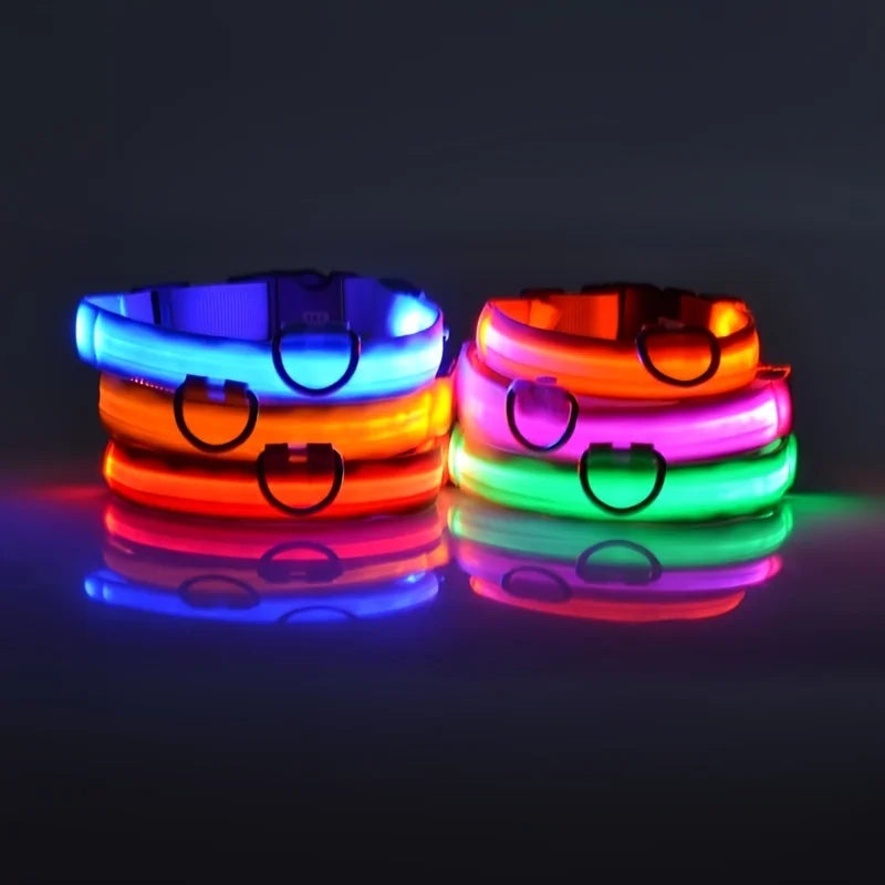 FurNorth™ LED Safety Dog Collar