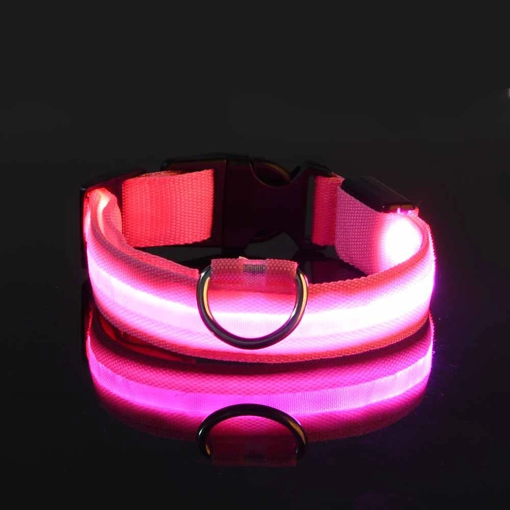 FurNorth™ LED Safety Dog Collar