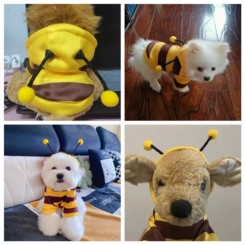 FurNorth™ Bikostume til Kæledyr